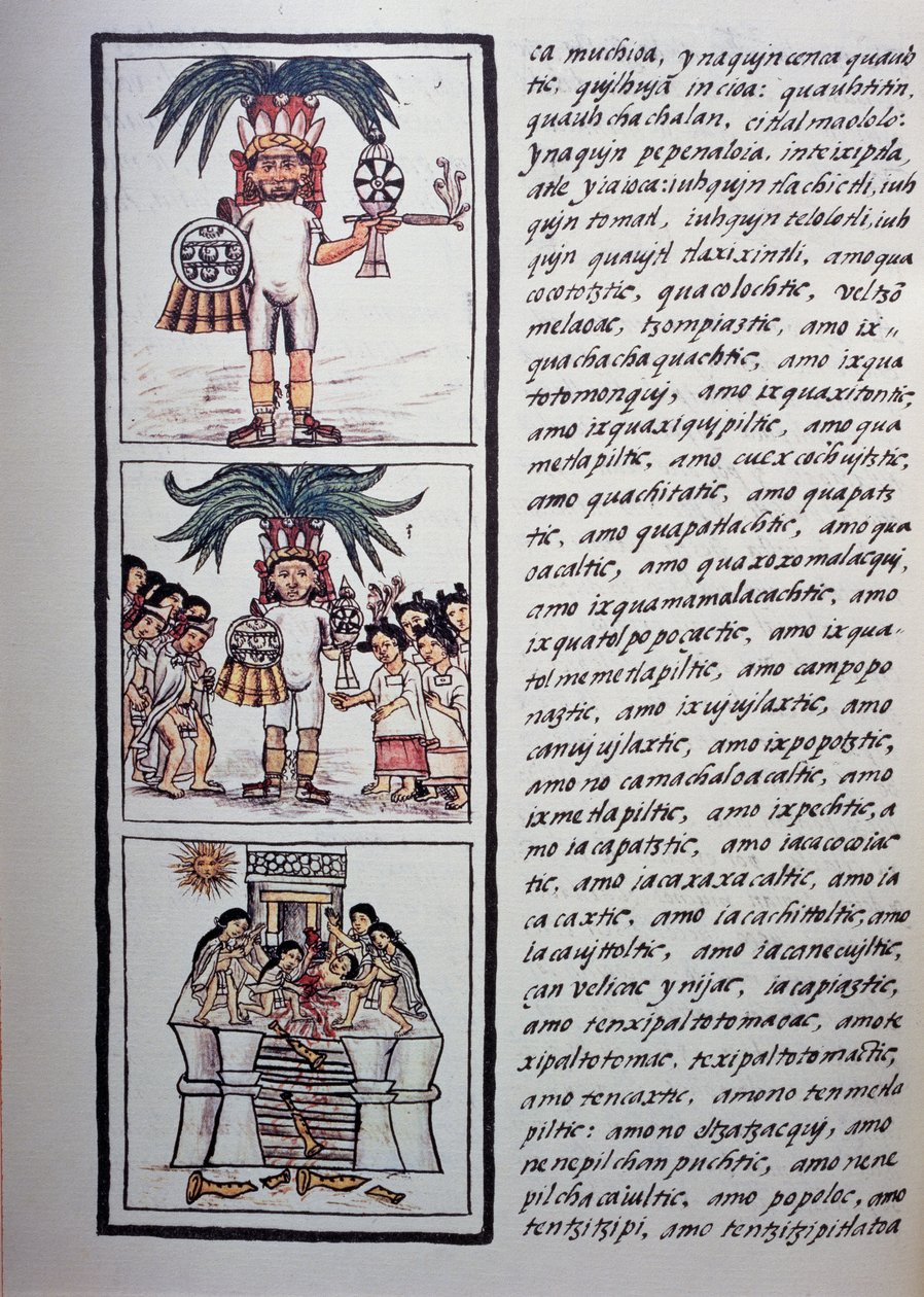 Festiwal Toxcatl i jego ofiara, Księga II kodeksu florenckiego, wersja dwujęzyczna w języku hiszpańskim i nahuatl, Ogólna historia rzeczy Nowej Hiszpanii (Historia general de las cosas de Nueva Espana), cywilizacja Azteków autorstwa Benjamin Baud