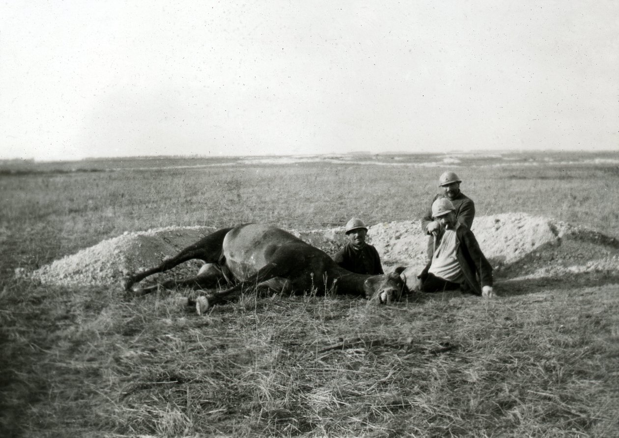 I wojna światowa 14-18 (1914-1918): trzej francuscy żołnierze grzebią martwego konia - fotografia na płycie szklanej autorstwa Unbekannter Künstler