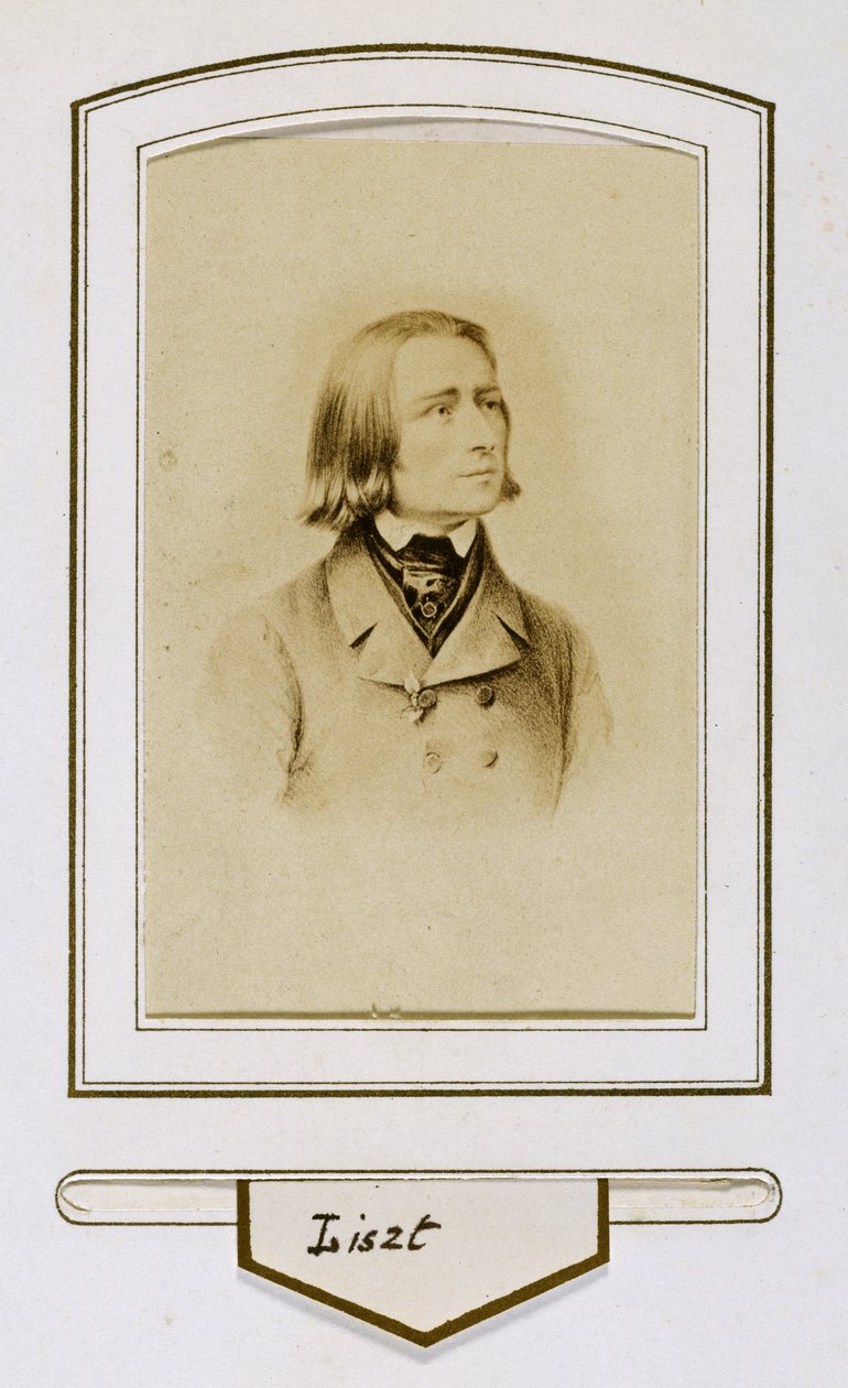 Franciszek Liszt w młodości autorstwa Unbekannter Künstler
