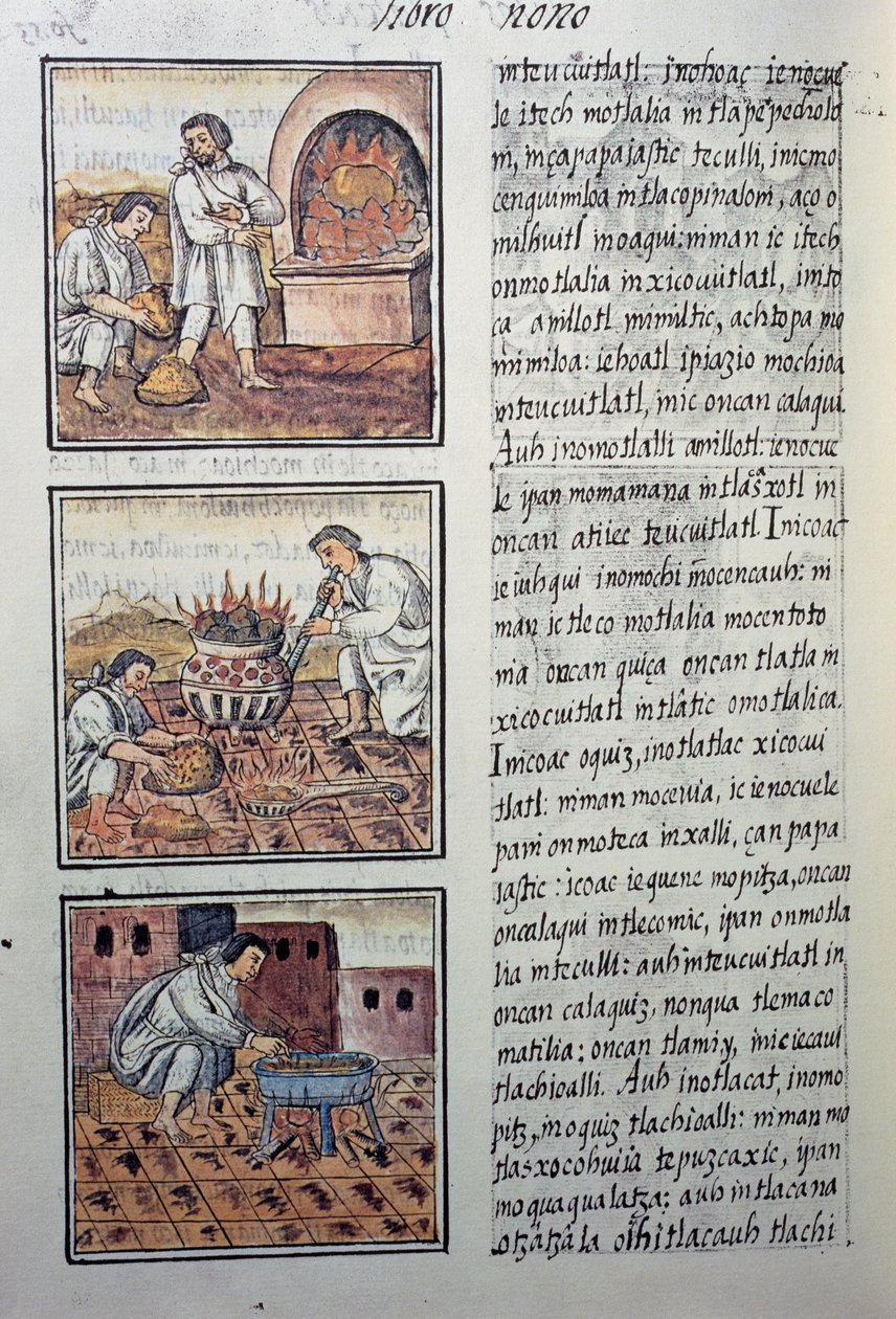 Złota produkcja Hiszpanów, strona z kodeksu florenckiego, dwujęzyczna wersja w języku hiszpańskim i nahuatl, Ogólna historia rzeczy Nowej Hiszpanii, autorstwa hiszpańskiego misjonarza Fray Bernardino de Sahagun. Cywilizacja Azteków autorstwa William M. Timlin
