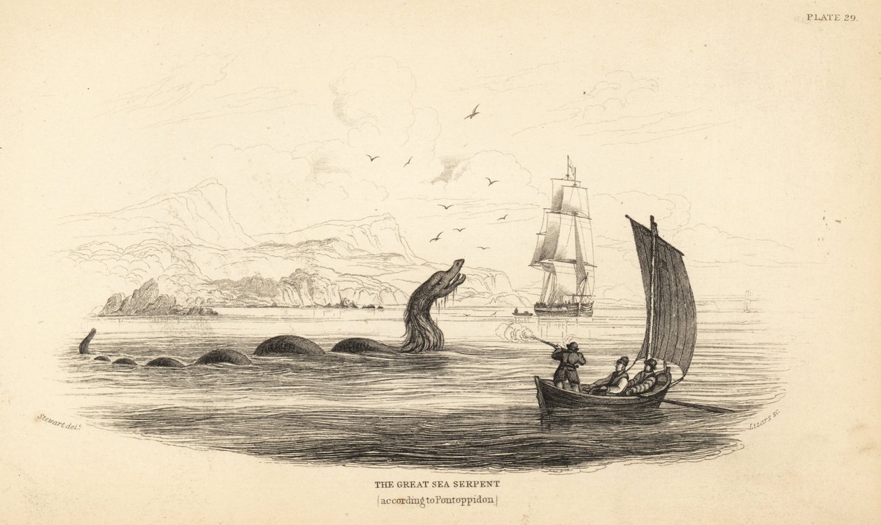 Wielki wąż morski zastrzelony przez załogę statku Lawrence by Ferry w 1746 roku. Opisany w Historii naturalnej Norwegii biskupa Erika Pontoppidana autorstwa Unbekannter Künstler
