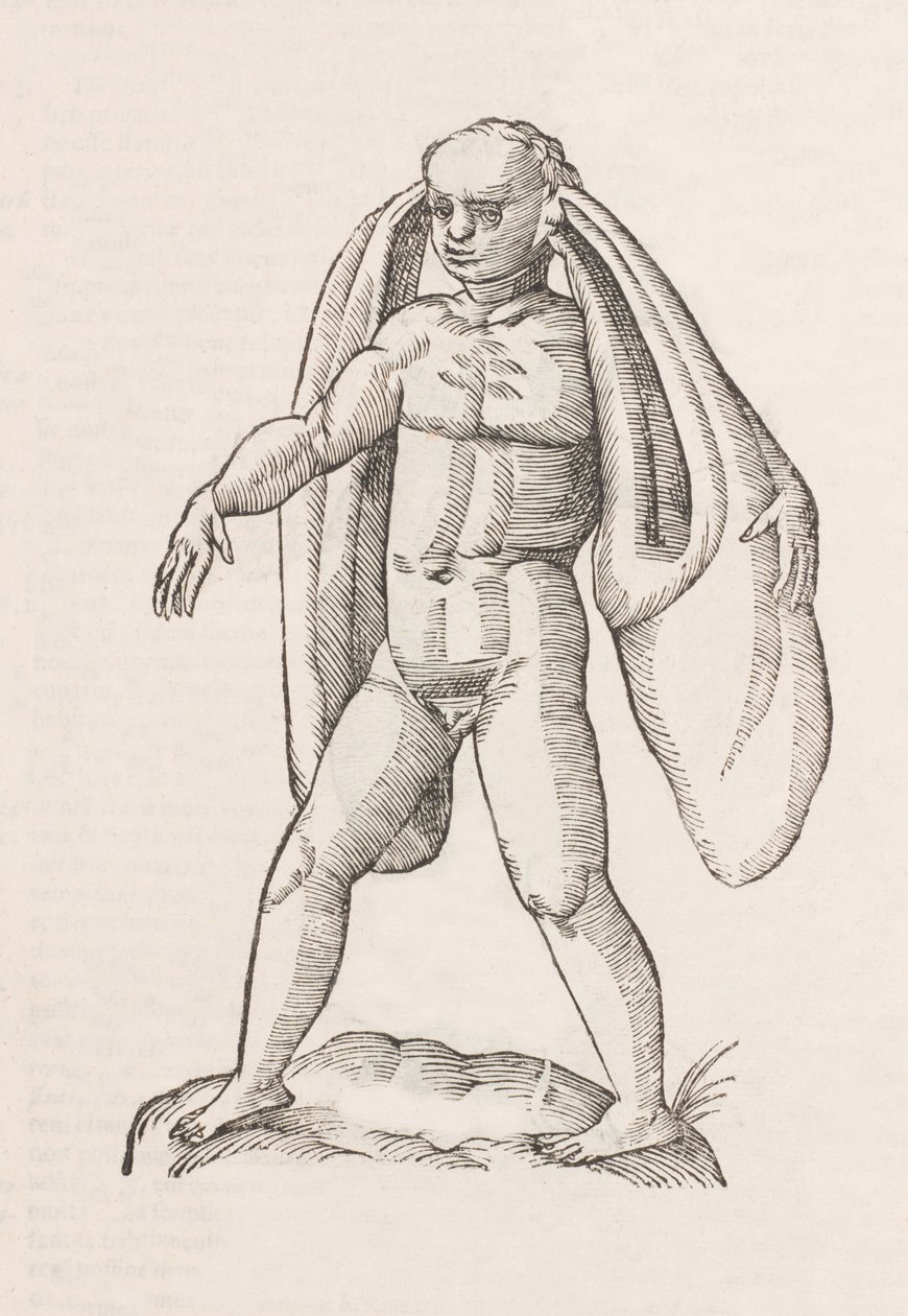 Homo fanesius auritus autorstwa Unbekannt