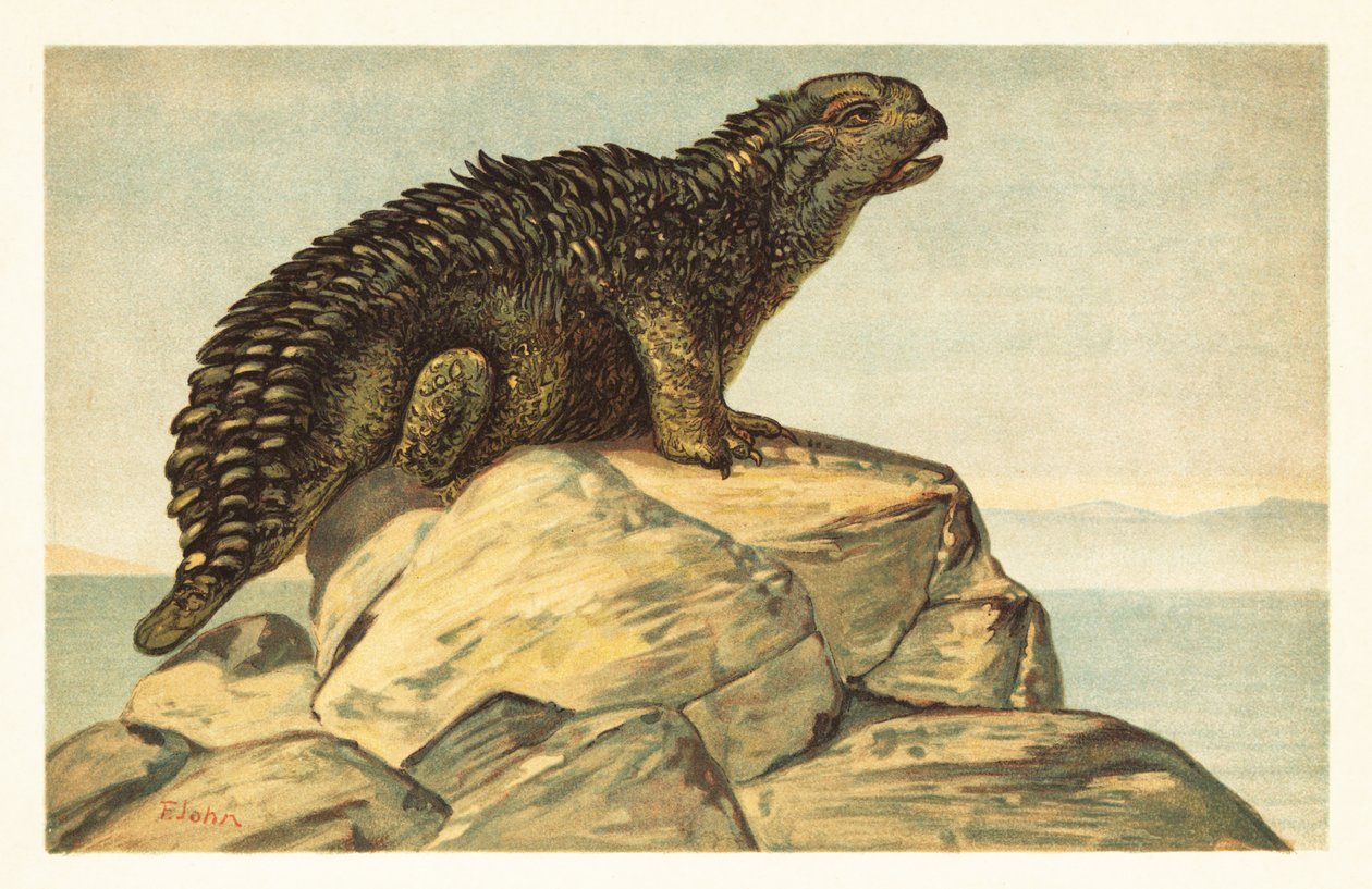 Hylaeosaurus armatus, wymarły roślinożerny dinozaur ankylozaur 1908 (litografia) autorstwa Unbekannter Künstler