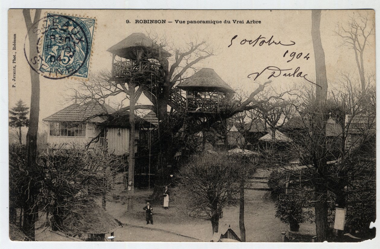 Ile de France, Hauts de Seine (92), Le Plessis Robinson (Le Plessis-Robinson): panoramiczny widok na „True Arbre”, guinguette zainstalowany na szczycie kasztana - pocztówka z 1904 r. autorstwa Unknown