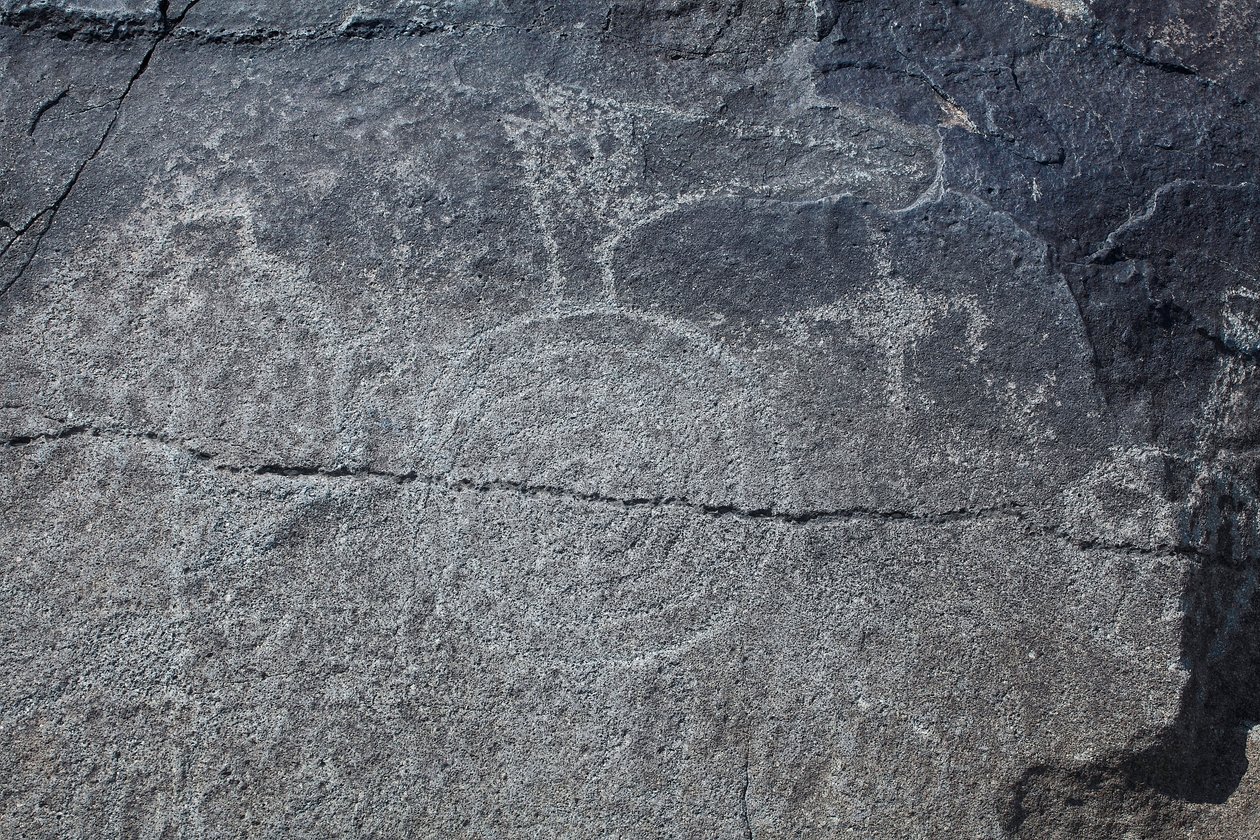 Indian Petroglyphs - Animal and Symbolic Reprezentacja - Petroglyph National Monument - Albuquerque, Nowy Meksyk, USA (USA) autorstwa William M. Timlin