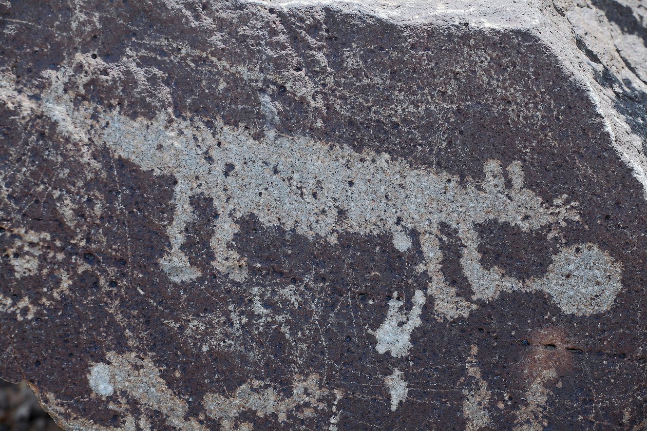 Indyjskie petroglify przedstawiające zwierzęta - Petroglyph National Monument - Albuquerque, Nowy Meksyk, USA (USA) autorstwa William M. Timlin