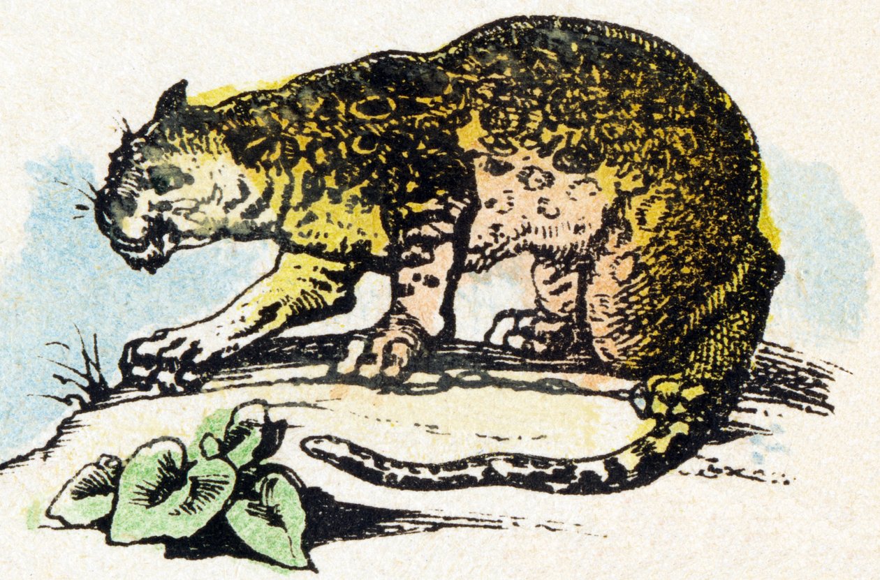 J - Jaguar - Alfabet - rozrywka dla dzieci - Obraz epinal, popularna seria c.1890 (ilustracja) autorstwa Unbekannt