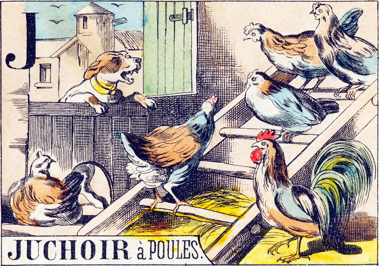 J Juchoir a poules - "Alfabet folwarczny" koniec XIX w. (rycina) autorstwa Unbekannt