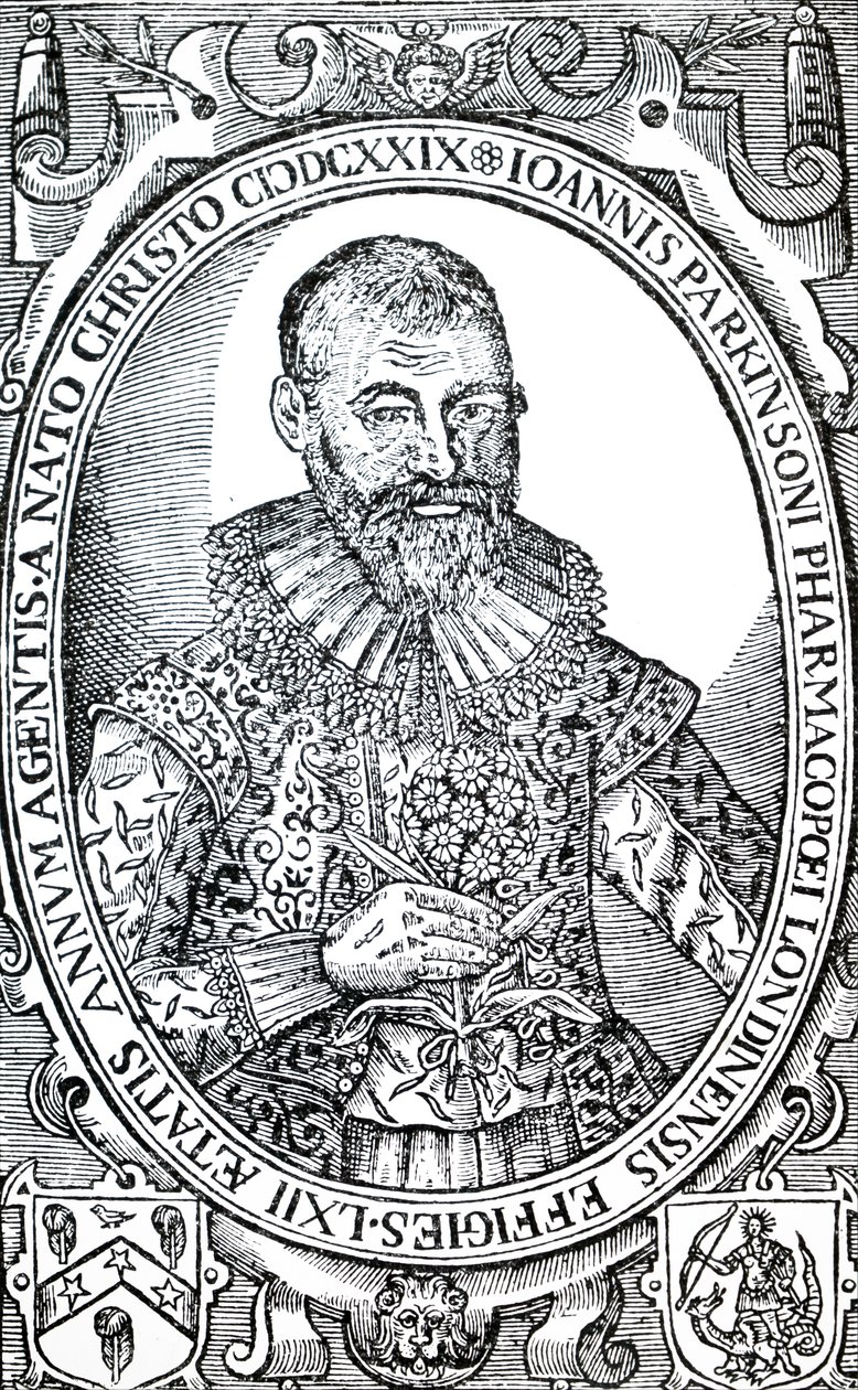 Johna Parkinsona. autorstwa Unbekannt