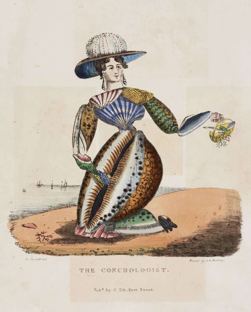 Koncholog, ok. 1831 autorstwa Unbekannt