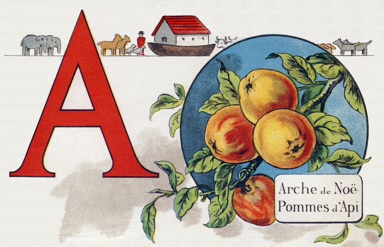 Litera A: Arka Noego, Apy Apple. Grawerowanie w „ABC L