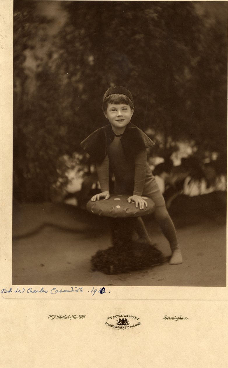 Lord Charles Cavendish autorstwa William M. Timlin