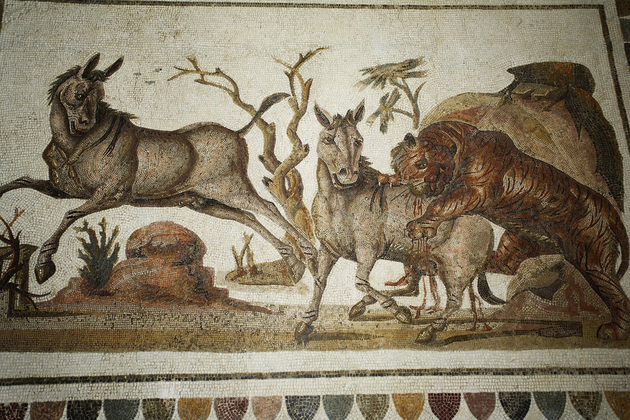 Mozaika walki zwierząt: tygrys atakujący dwie nocne prymasy. II s AD/Musee d