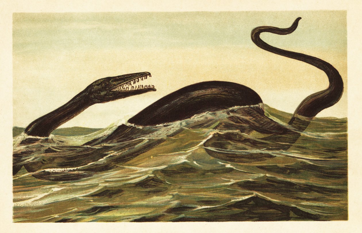Mosasaurus hoffmannii, wymarły gad wodny.1908 (litografia) autorstwa Unbekannter Künstler