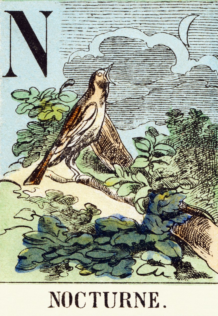 N : Nocturne - Alfabet myśliwski, ok. 1890 (rycina) autorstwa Unbekannt