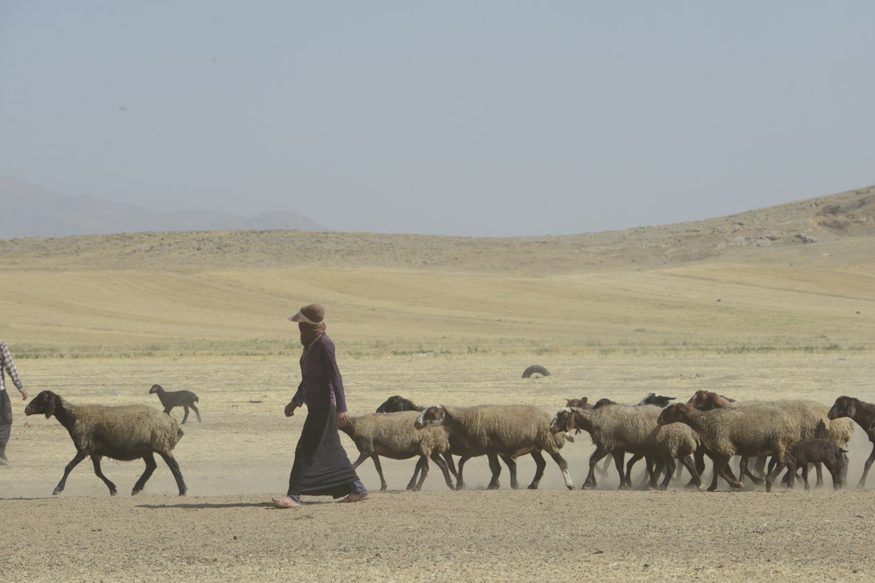 Nomadyczne namioty między Tamar a Aszchanią, Iran 2022 (fotografia) autorstwa Unbekannter Künstler