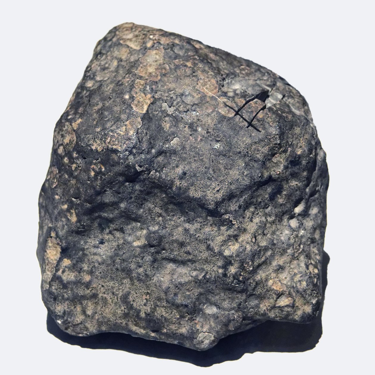 Zwykły chondryt (L/LL5). Toimbee na Ukrainie w 1866 r. Narodowe Muzeum Historii Naturalnej w Paryżu. autorstwa Unbekannt