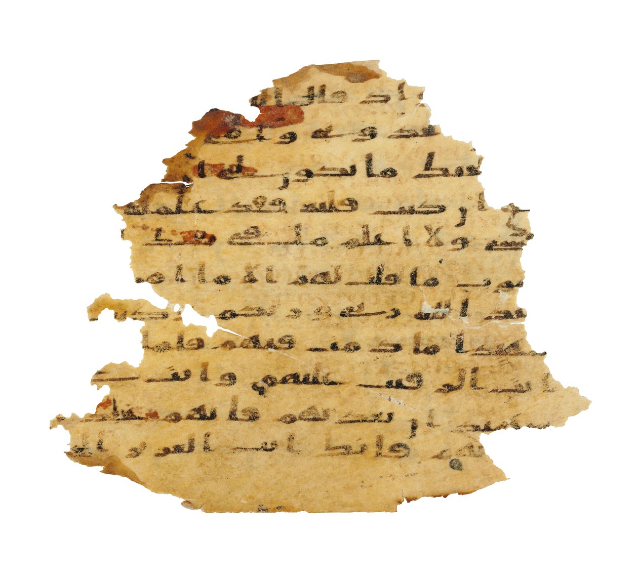 Strona z niezapisanego palimpsestu Koranu skopiowanego na wcześniejszą Biblię koptyjską, prawdopodobnie Egipt, ok. VIII w. (tusz na welinie) autorstwa Unbekannt