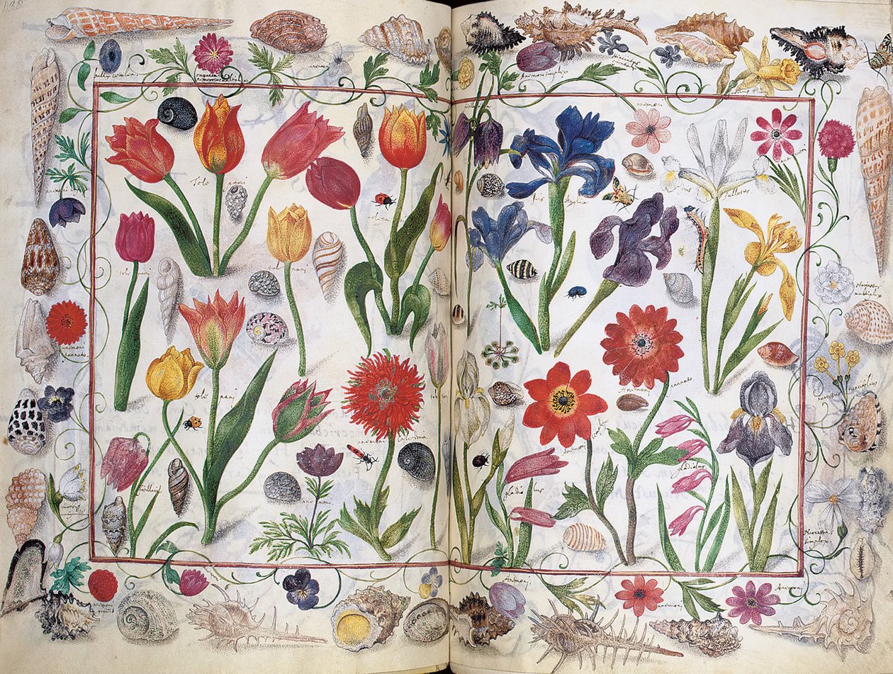 Kartki z Albumu Amicorum Philippa Hainhofera, 1596-1633 autorstwa Unbekannt