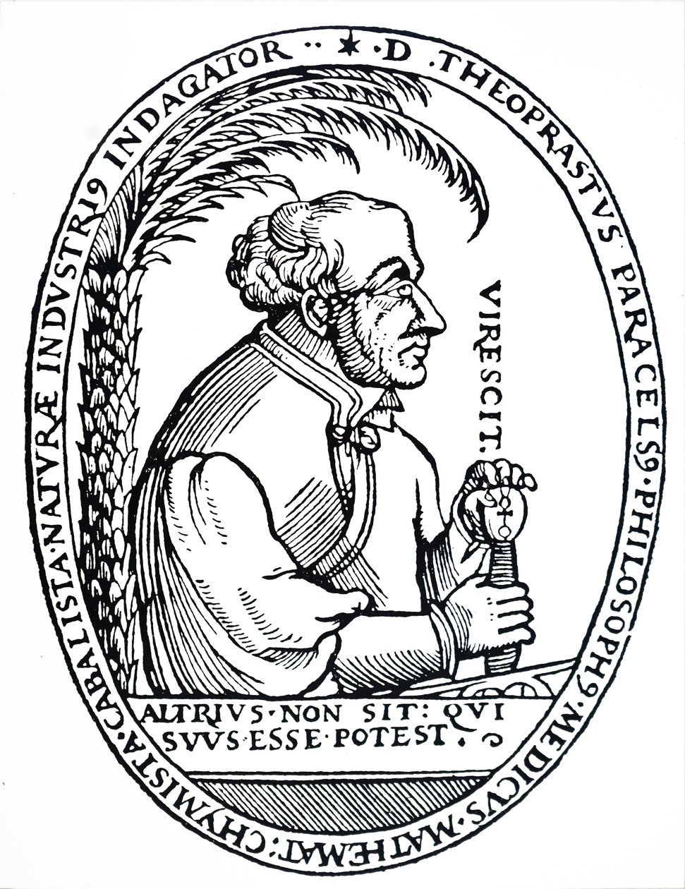 Paracelsus. autorstwa Unbekannt