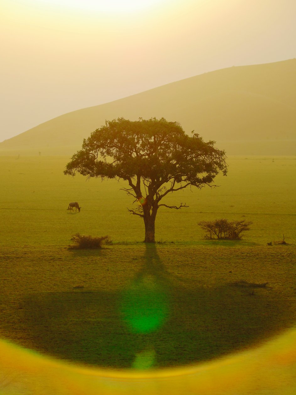 Raj po deszczu, Chyulu Hills, 2018 (zdjęcie) autorstwa Unbekannter Künstler