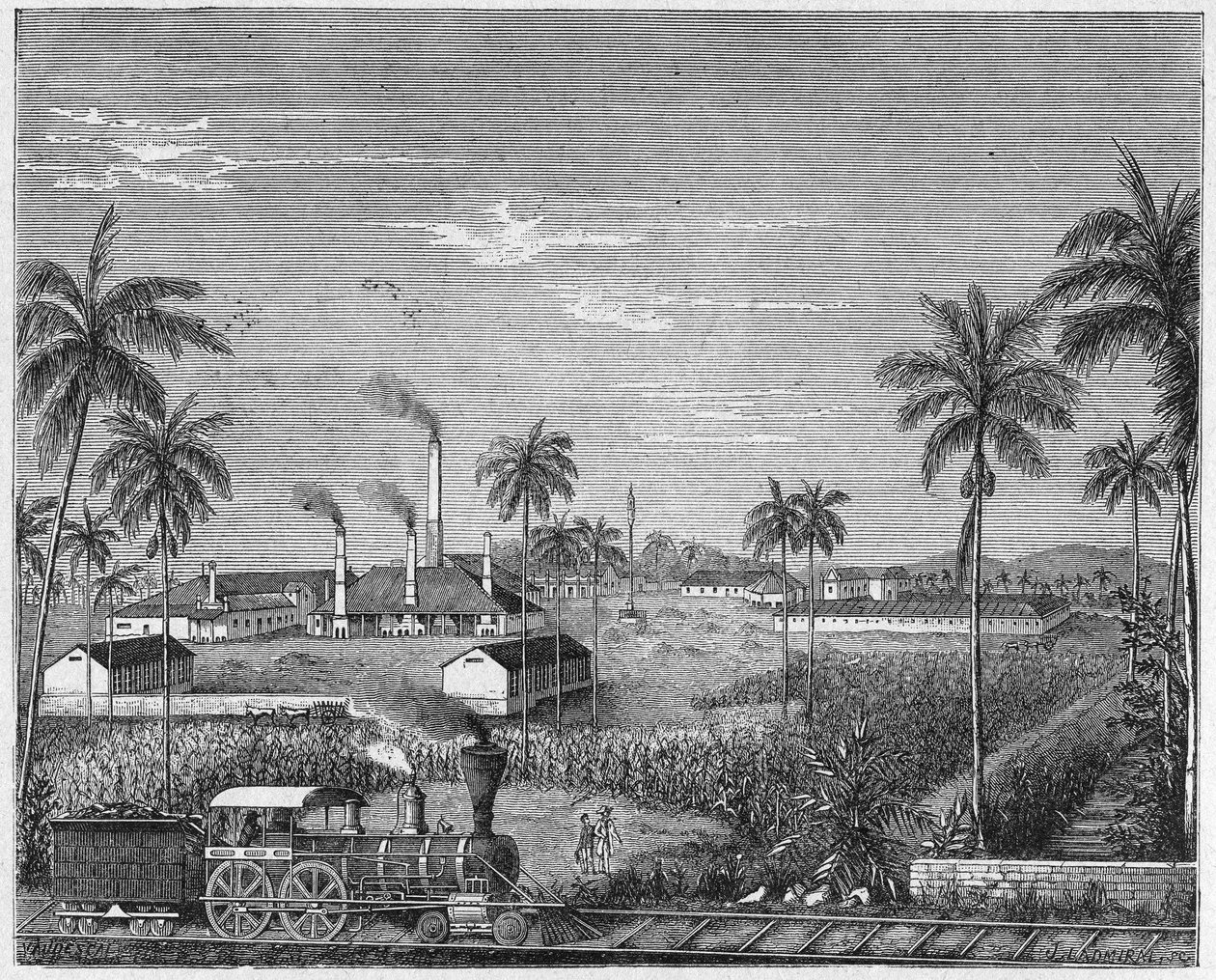 Plantacja trzciny cukrowej na Kubie, ok. 1880 r. (rycina) autorstwa Unbekannter Künstler