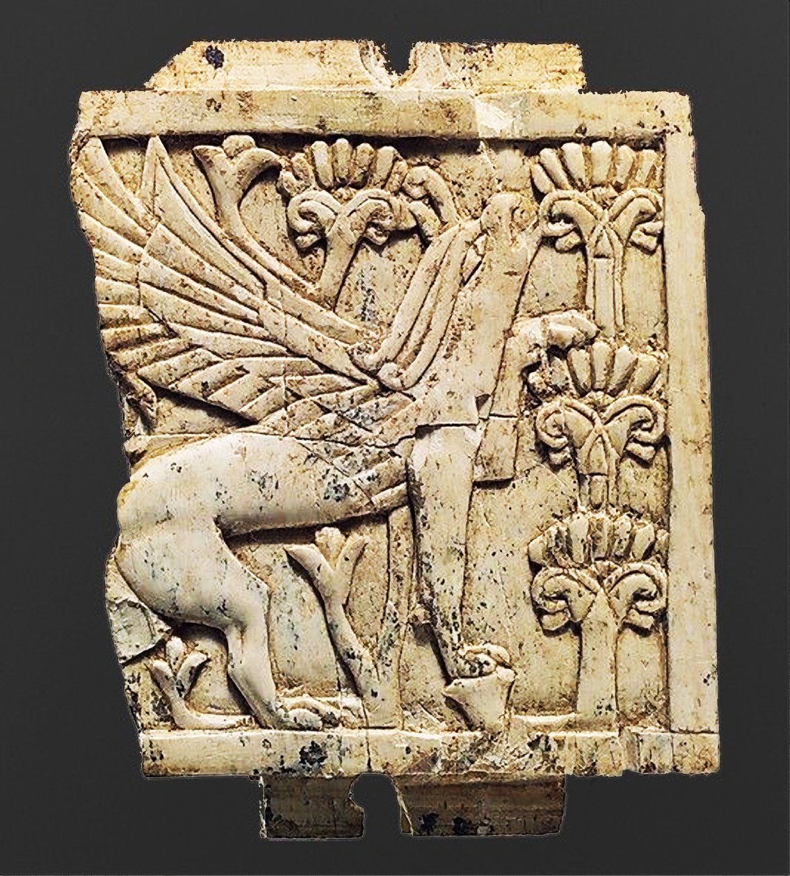 Tablica przedstawiająca Gryfa, Nimrud, Mezopotamia, VIII-VII w. p.n.e autorstwa Unbekannt