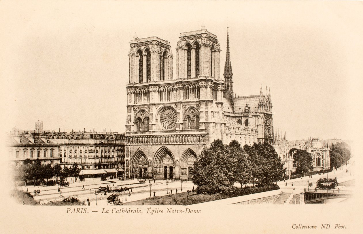 Pocztówka / Notre Dame / Paryż / Sekwana / Ile de France / Francja autorstwa William M. Timlin