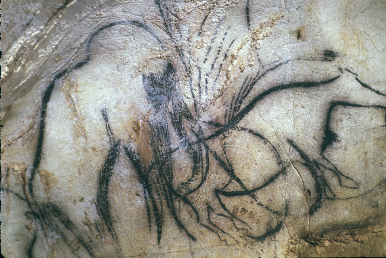 Prehistoryczna jaskinia Pech Merle/Kaplica Mamuta/25 000 lat/Kabrety/Lot/Midi Pyrenees/Francja autorstwa Unbekannt
