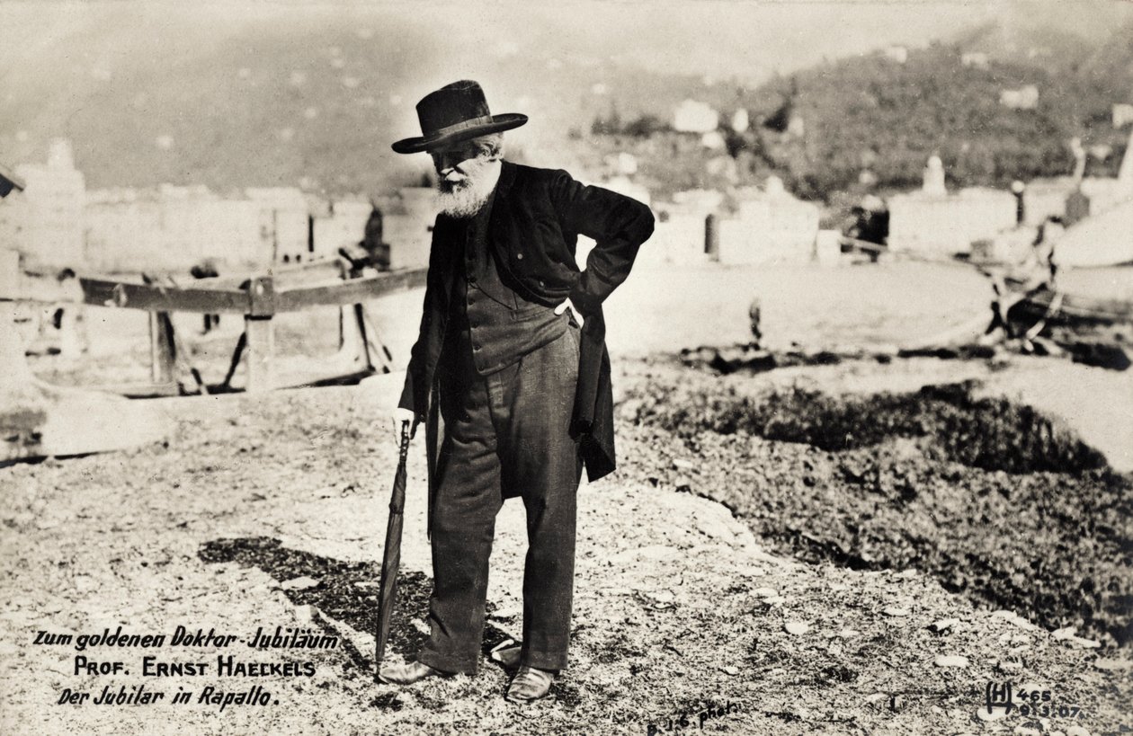 Profesor Ernst Haeckels w Rapallo, Włochy (zdjęcie czarno-białe) autorstwa Unbekannt