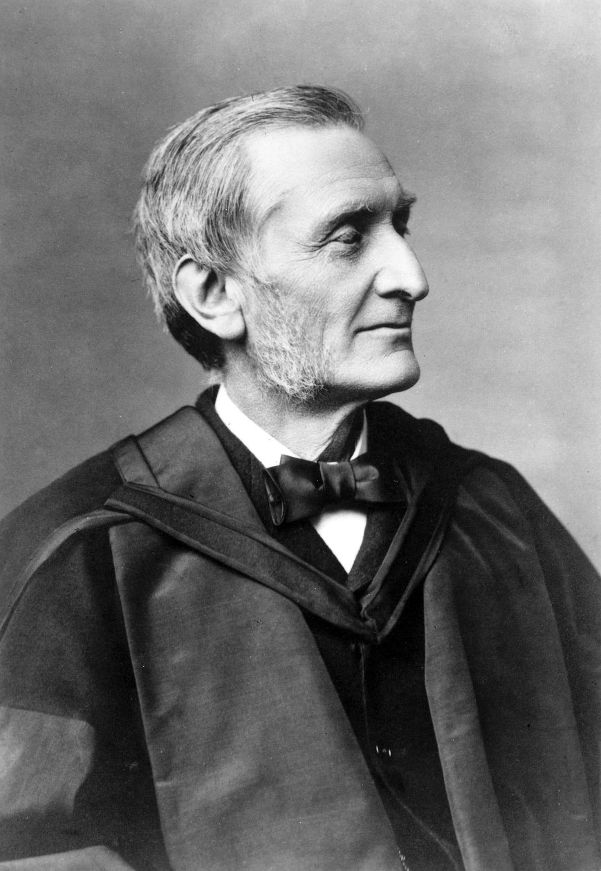 Profesor John Hall Gladstone, chemik, ok. 1890 autorstwa Unbekannt