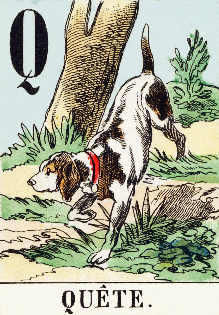 P : Quete - A Alfabet myśliwski, ok. 1890 (rycina) autorstwa Unbekannt