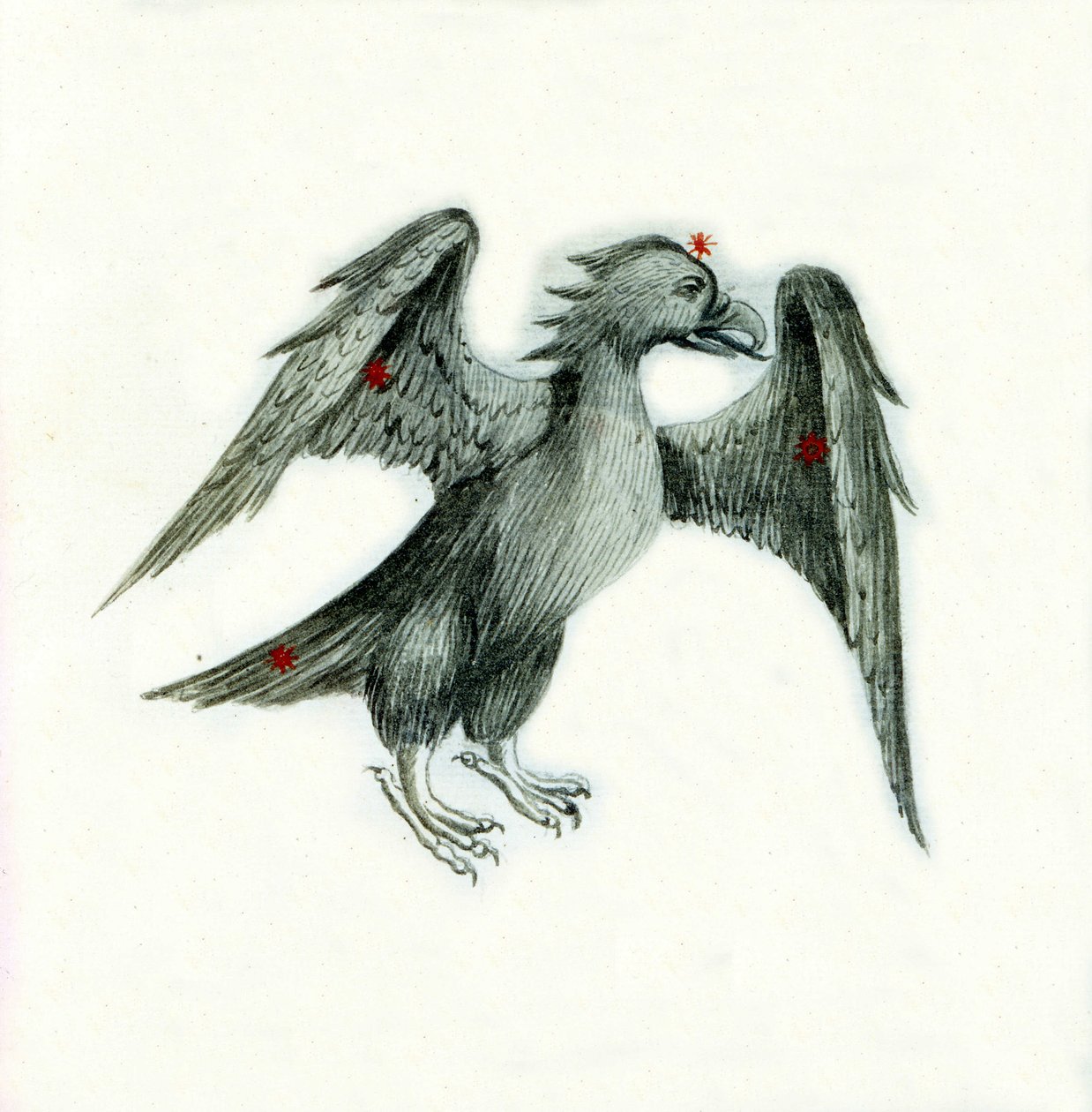 Przedstawienie gwiazdozbioru orła Strona XVIII-wiecznego manuskryptu opartego na oryginalnym manuskrypcie "Astronomica" autorstwa Biasino da Parma (Blaise de Parma) (1425-1457) z XV w. autorstwa Unbekannter Künstler