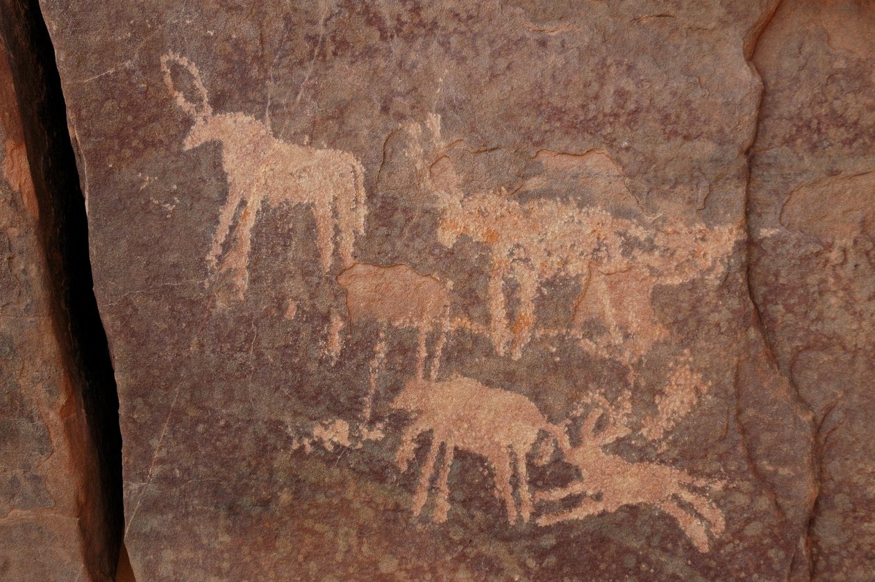 Sztuka naskalna, prehistoria: Grawerowanie zestawu antylop i psa (u dołu po prawej) w masywie Uweinat w Egipcie. (Okres od 8000 do 3000 lat pne). Fotografia autorstwa Unbekannt