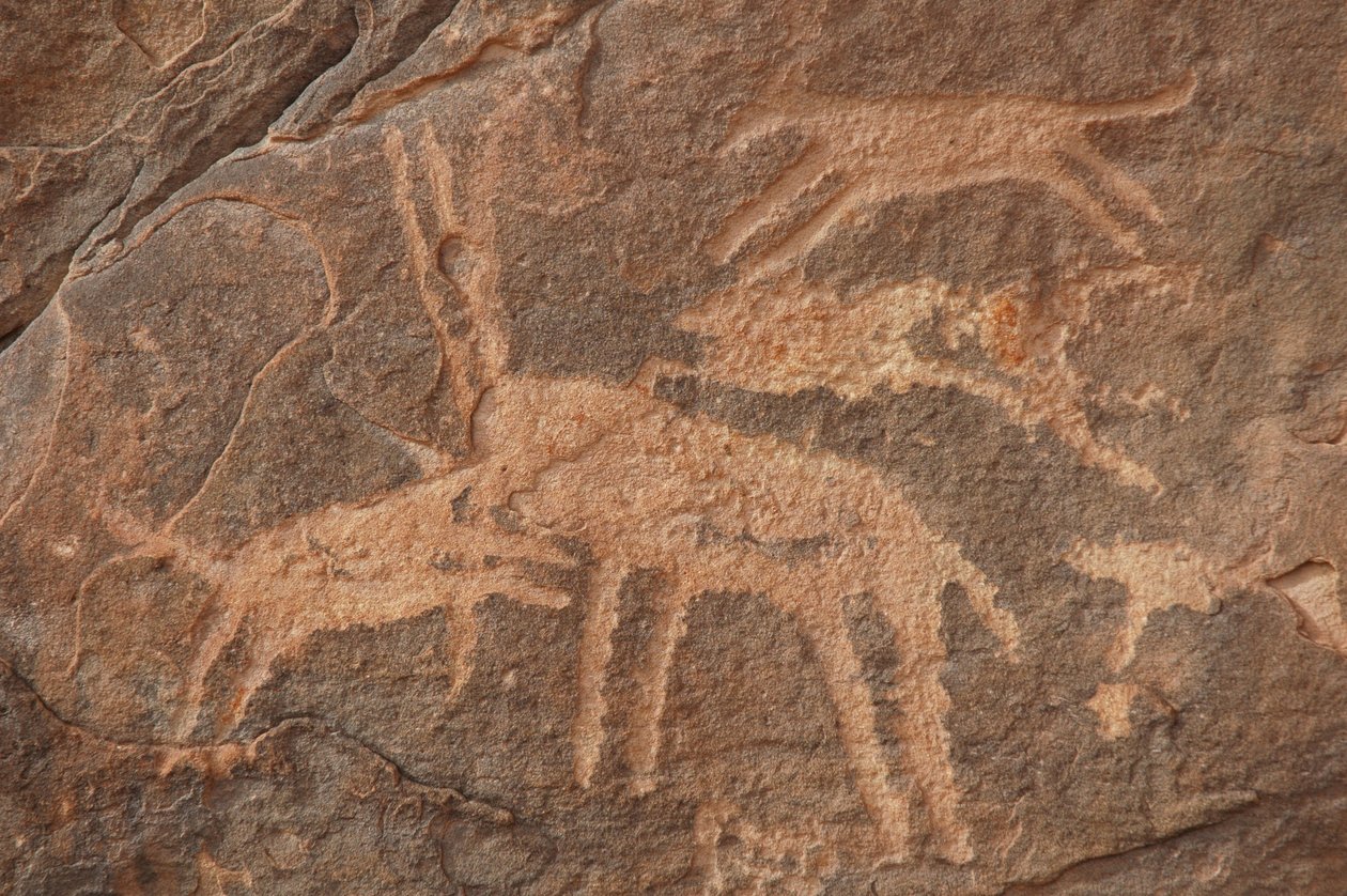 Sztuka naskalna, prehistoria: Rycina przedstawiająca antylopę zaatakowaną przez sforę psów w masywie Uweinat w Egipcie (okres od 8000 do 3000 lat pne). Fotografia autorstwa Unbekannt