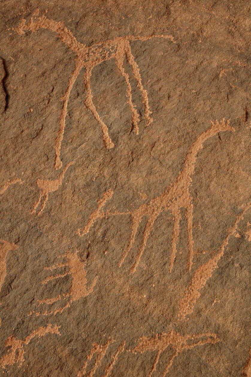 Sztuka naskalna, prehistoria: grawerowanie żyraf, strusi, innych zwierząt i postaci w masywie Uweinat w Sudanie (Karkur-Talh lub Karkur Talh). Okres od 8000 do 3000 lat pne. Fotografia autorstwa Unbekannt