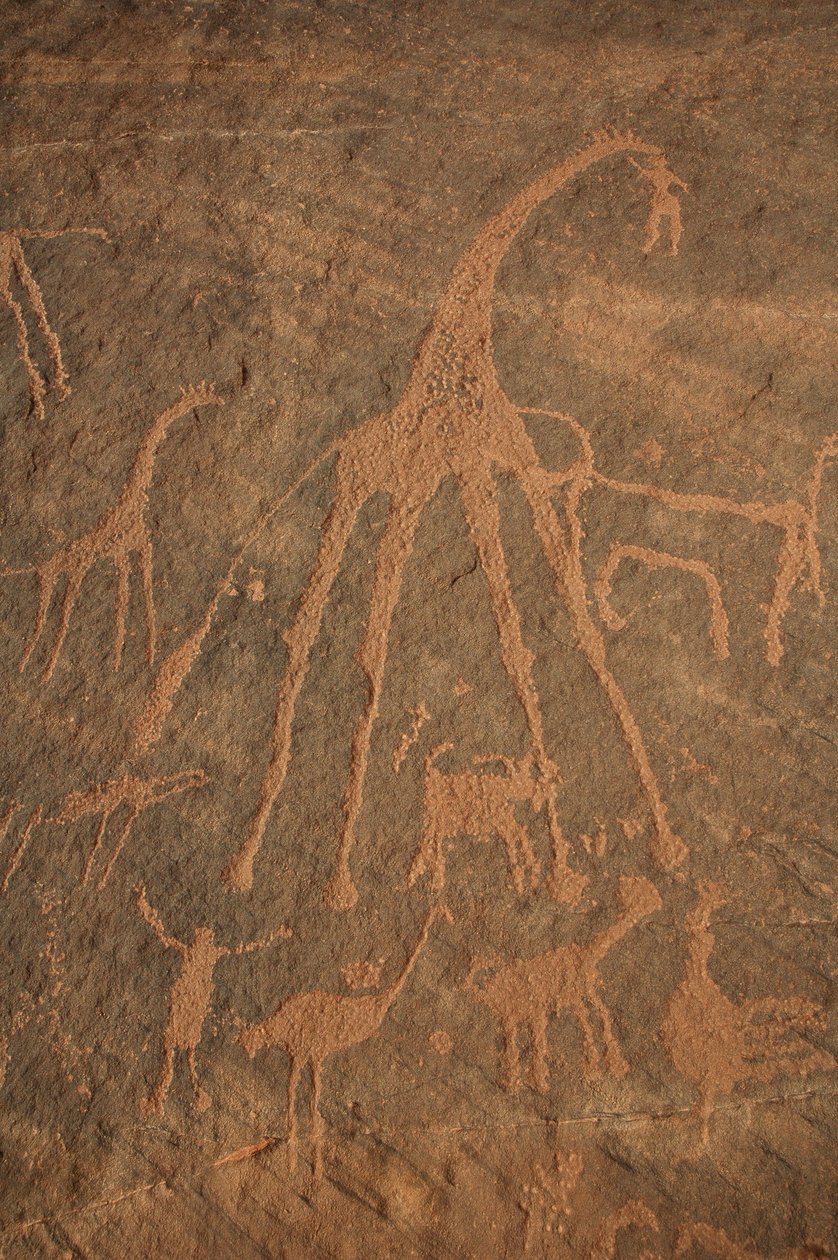 Sztuka naskalna, prehistoria: grawerowanie żyraf, strusi, owiec i postaci w masywie Uweinat w Sudanie (Karkur-Talh lub Karkur Talh). Okres od 8000 do 3000 lat pne. Fotografia autorstwa Unbekannt