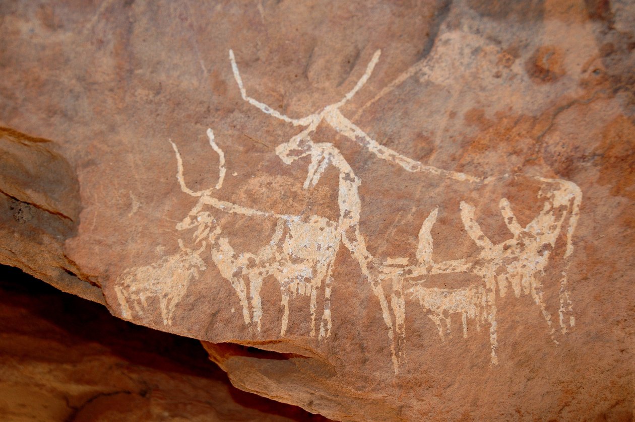Sztuka naskalna, Prehistoria: Malowanie naskalne bydła z dużymi rogami w schronie ozdobionym w masywie Uweinat w Sudanie (Karkur-Talh lub Karkur Talh). Okres od 8000 do 3000 lat pne. Fotografia autorstwa Unbekannt