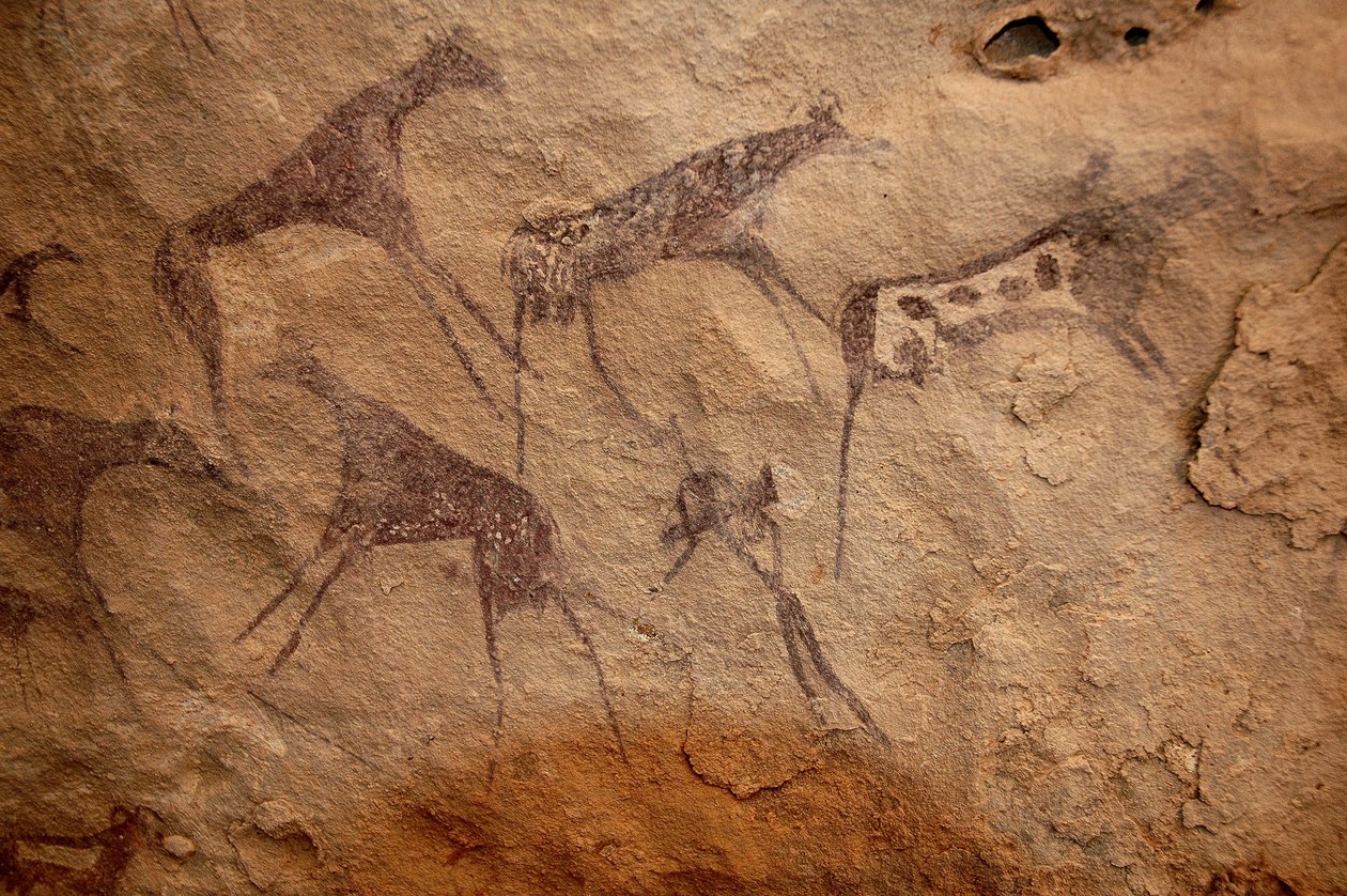 Sztuka naskalna, prehistoria: Malowidło naskalne przedstawiające grupę bydła i polichromowane postacie w ozdobnym schronie w masywie Uweinat w Sudanie. Okres od 8000 do 3000 lat pne. Fotografia autorstwa Unbekannt