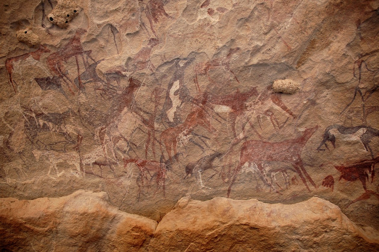 Sztuka naskalna, prehistoria: Malowidło naskalne przedstawiające grupę bydła i polichromowane postacie w ozdobnym schronie w masywie Uweinat w Sudanie. Okres od 8000 do 3000 lat pne. Fotografia autorstwa Unbekannt