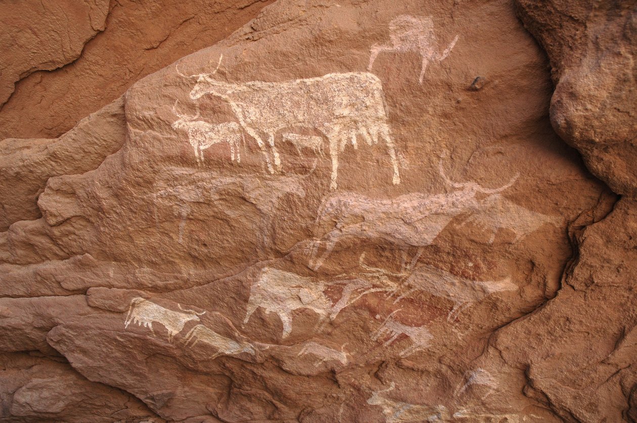 Sztuka naskalna, prehistoria: Malowidło naskalne przedstawiające grupę bydła w ozdobnym schronie w masywie Uweinat w Sudanie (Karkur-Talh lub Karkur Talh). Okres od 8000 do 3000 lat pne. Fotografia autorstwa Unbekannt