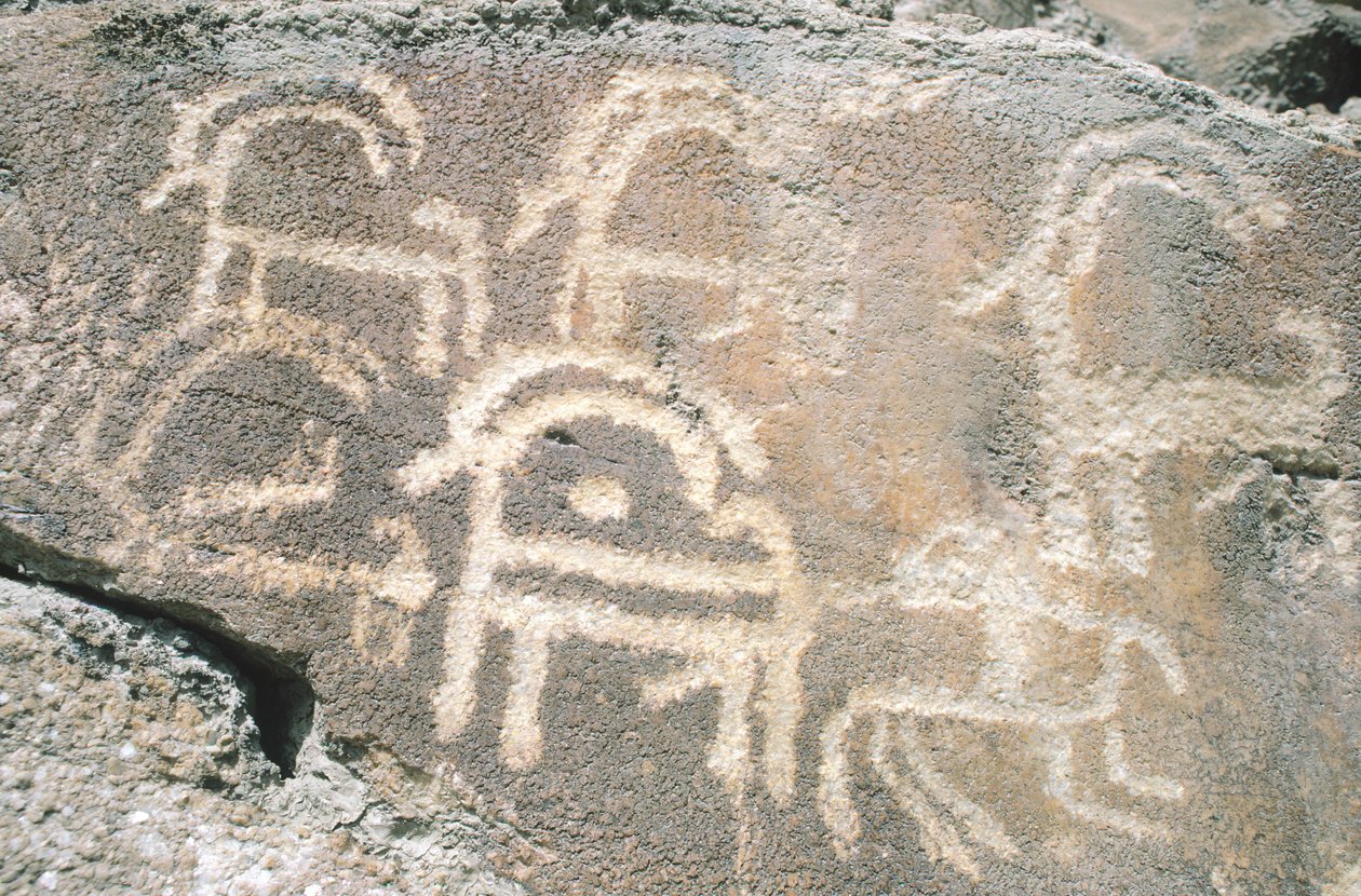 Rzeźby naskalne w dolinie Hunza, w pobliżu obszaru archeologicznego Karimabad, Pakistan autorstwa Benjamin Baud