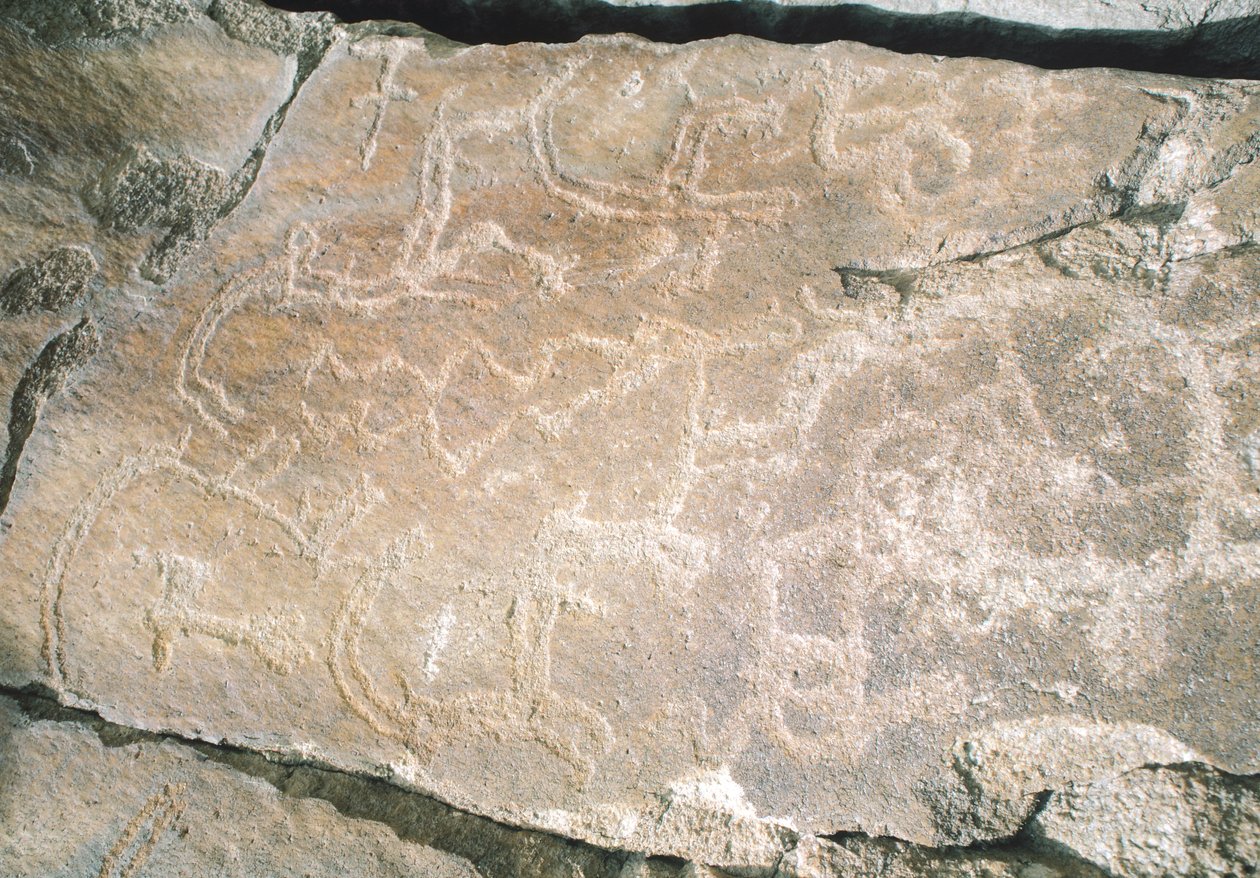 Rzeźby naskalne w dolinie Hunza, w pobliżu obszaru archeologicznego Karimabad, Pakistan autorstwa William M. Timlin