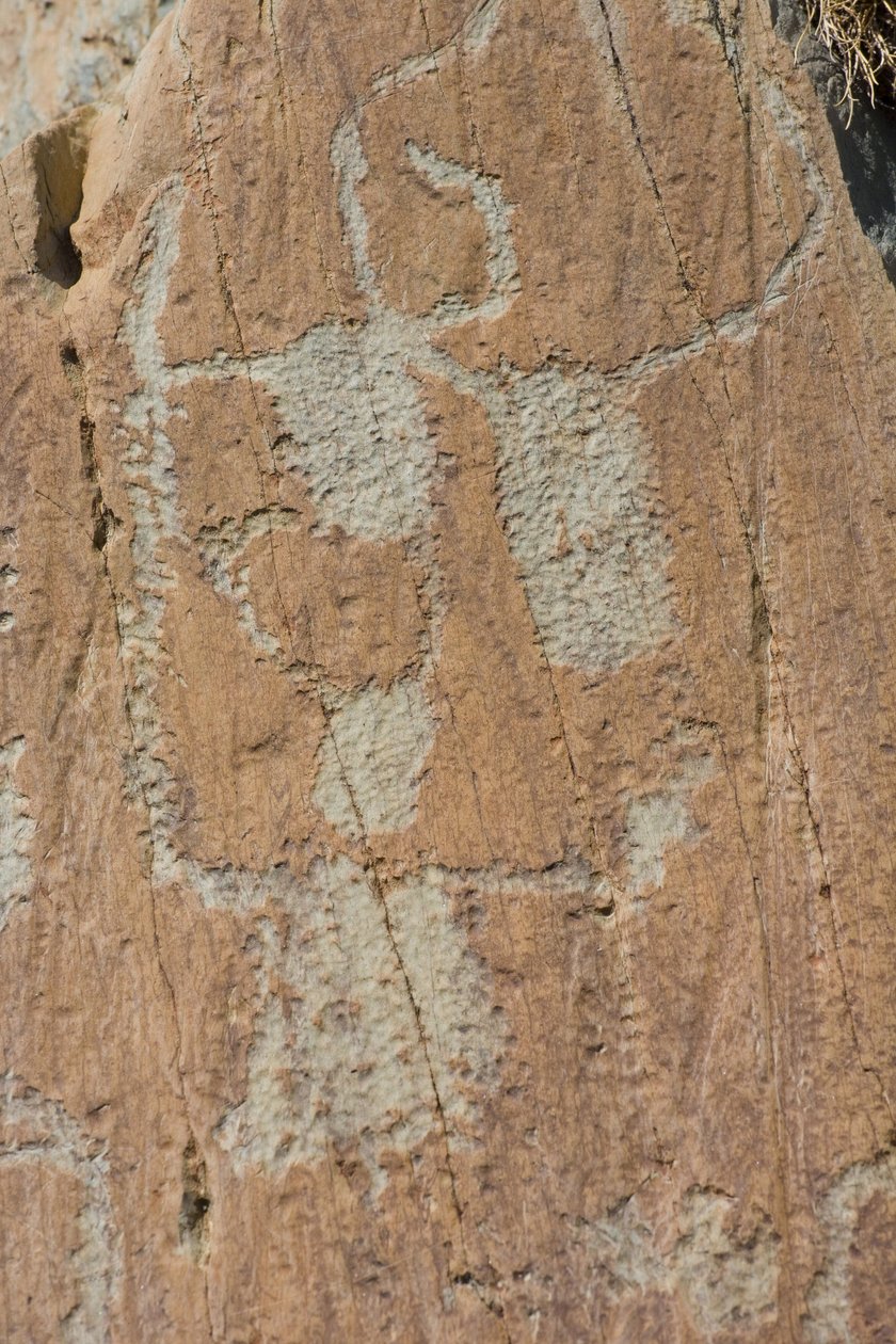 Ryciny naskalne przedstawiające Vallee de Fontanalba/Corniformes lub bydło/Park Narodowy Mercantour/Tende/Alpes-Maritimes/Francja autorstwa Unbekannt
