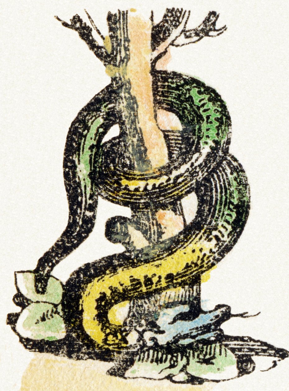 S - Serpent - Child Entertainment Alphabet c.1890 (litografia) autorstwa Unbekannt
