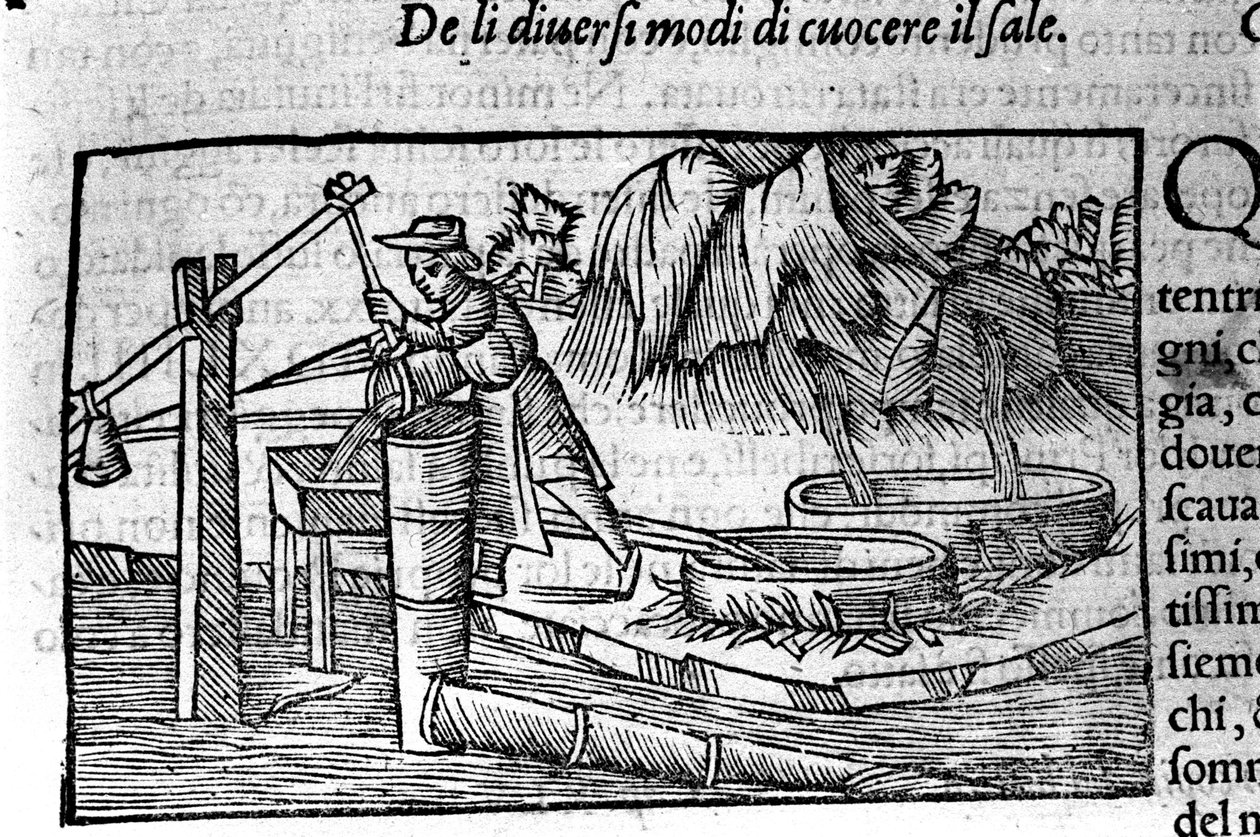 Produkcja soli: gotowanie. Grawer Olausa Magnusa (1490 - 1557), szwedzkiego zakonnika i geografa, "Historia Narodu Północnego", Wenecja autorstwa Unbekannt