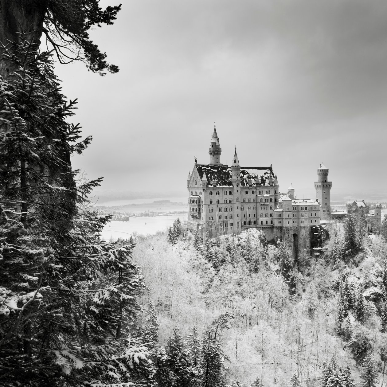 Zamek Neuschwanstein, Füssen, Niemcy, 2013 (zdjęcie czarno-białe) autorstwa Leopold Blonder