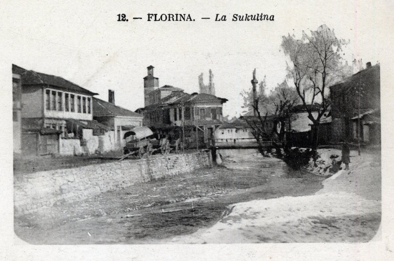 Serbia, Florina (dzisiejsza Grecja): widok na Sukulinę - pocztówka 1914-1918 autorstwa William M. Timlin