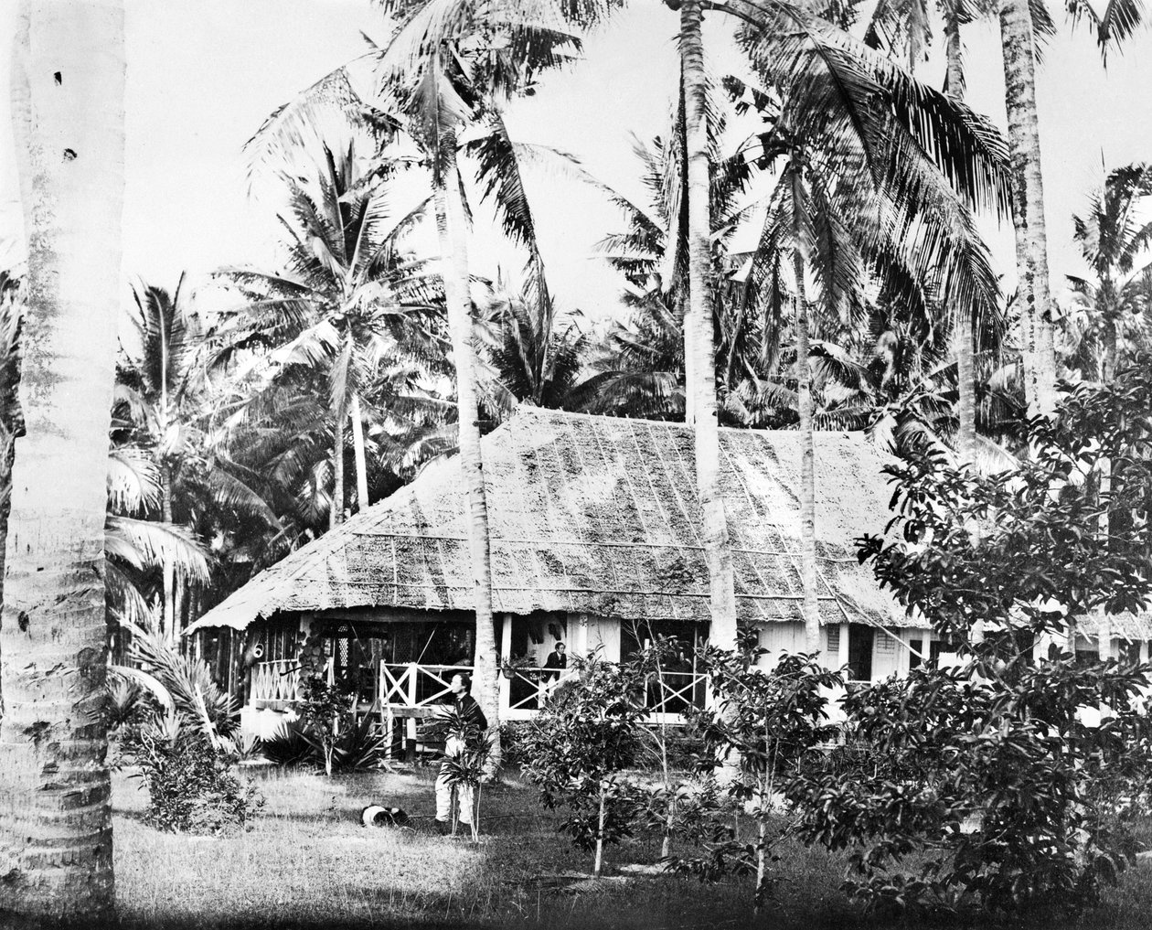 Singapur: prywatny bungalow otoczony palmami. Singapur, ok. 1875 r. autorstwa Unbekannt
