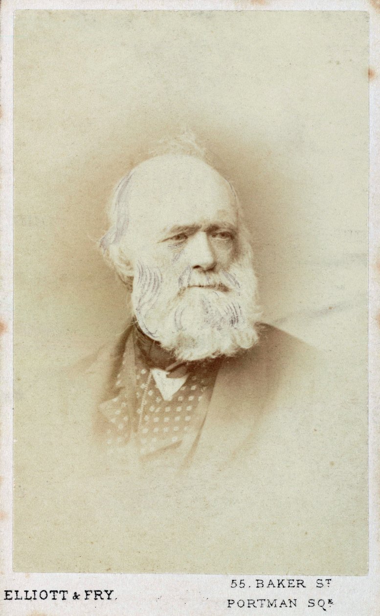 Sir Charles Lyell, angielski geolog, c1865-1875 autorstwa Unbekannt